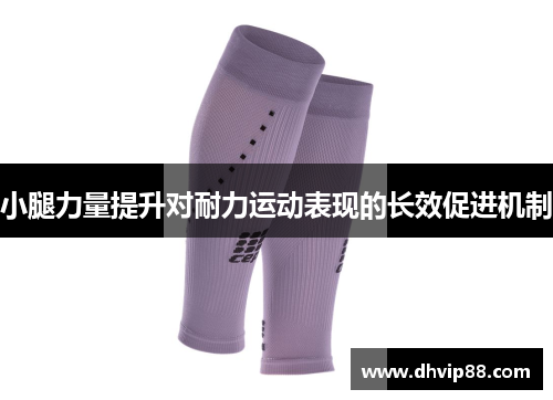 小腿力量提升对耐力运动表现的长效促进机制